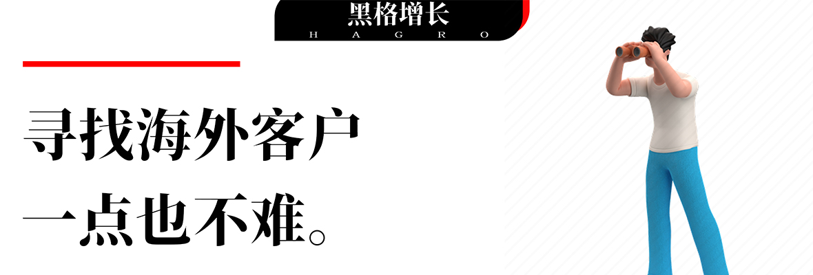 【黑格增长】做外贸如何查公司、查人、查KP？真实详解过程